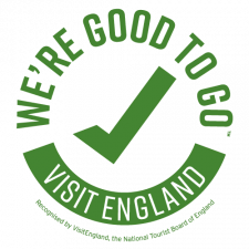 Good to go logo